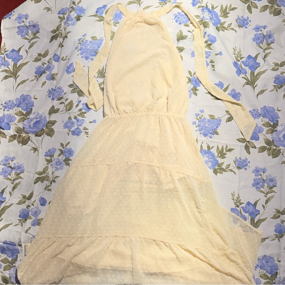 Elegant Cream High Low Dress - Picture 4 of 5